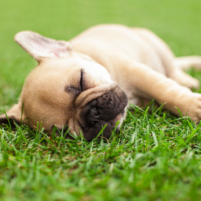 Trustworthy Background