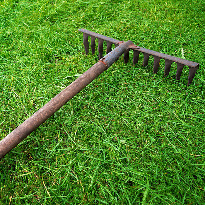 Trustworthy Background