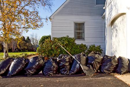 Spring/Fall Cleanup